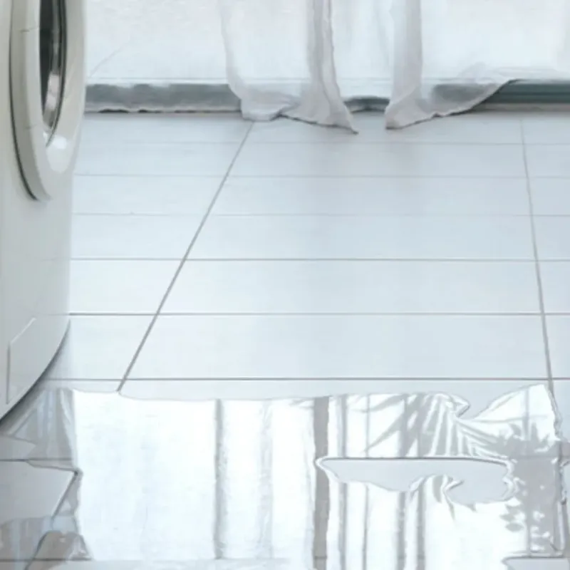 Appliance Leak Cleanup in Oakfield, WI