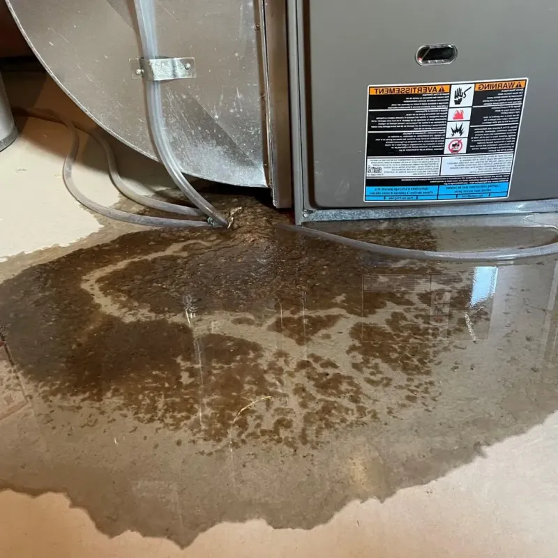 Pipe Burst and Leak Restoration in Oakfield, WI