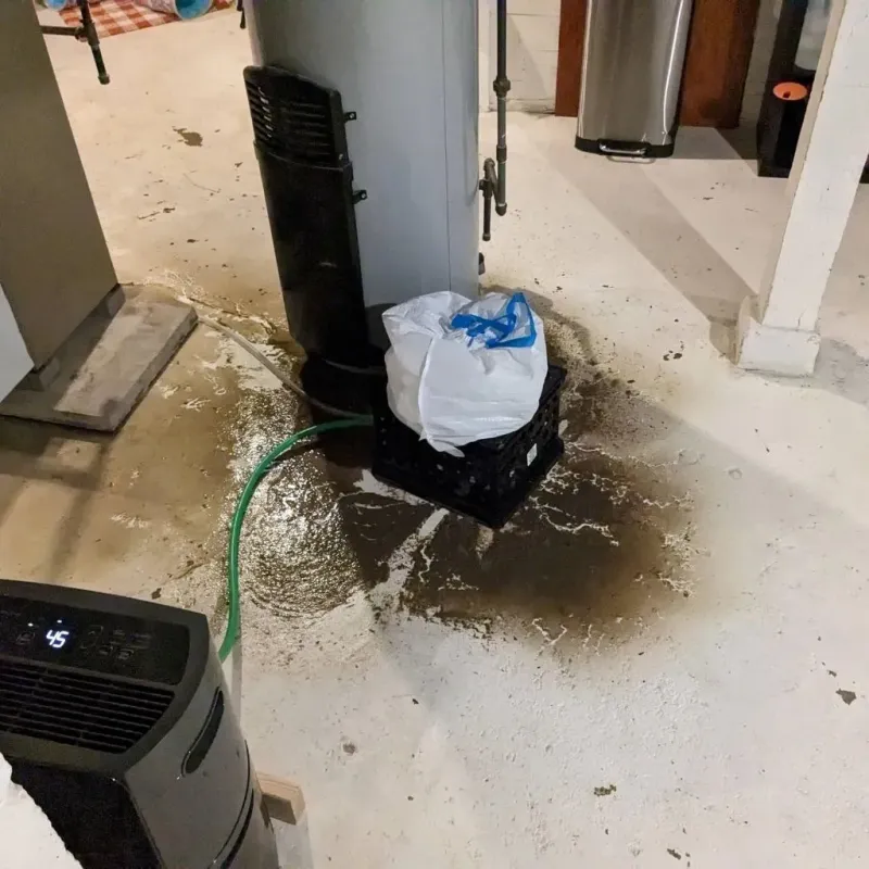 Sewage Backup Cleanup Service in Oakfield, WI